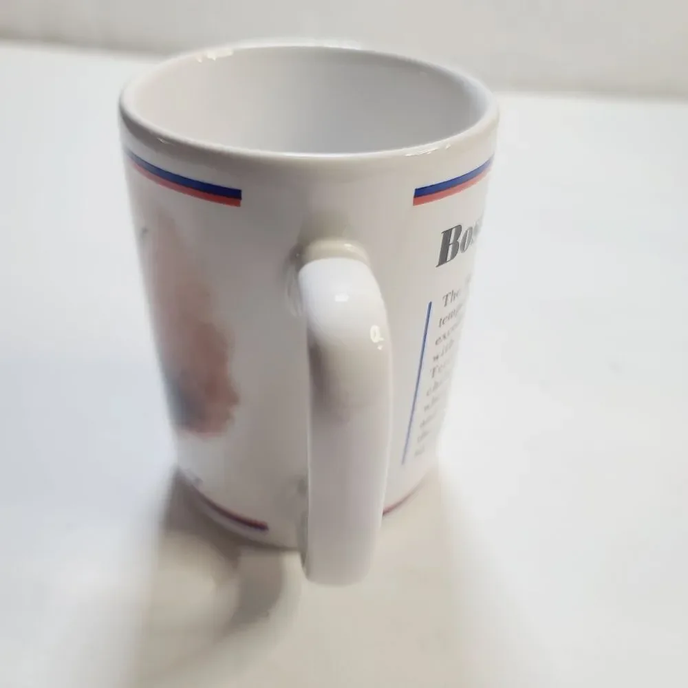 Vintage 80s R. Masthead Boston Terrier Dog Coffee Mug